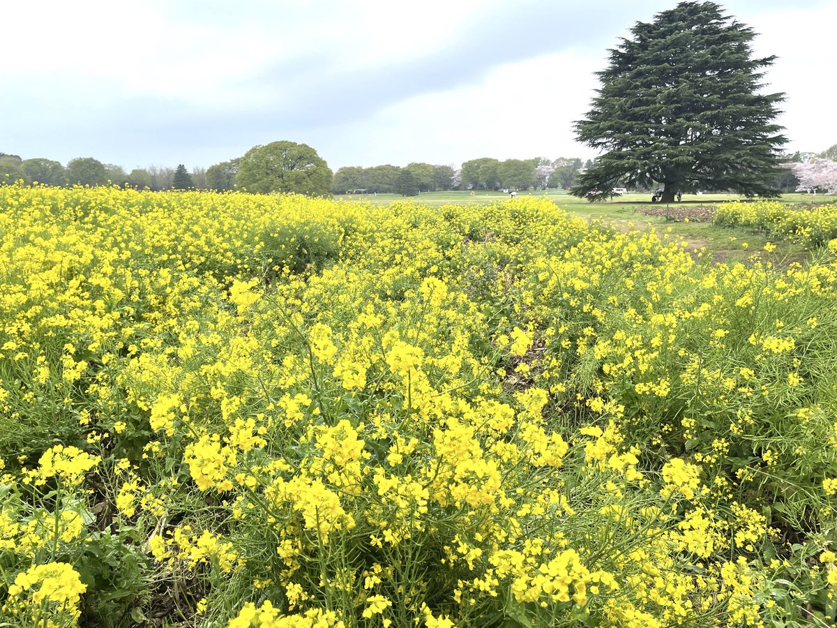 ZAKI🪶 tweet media