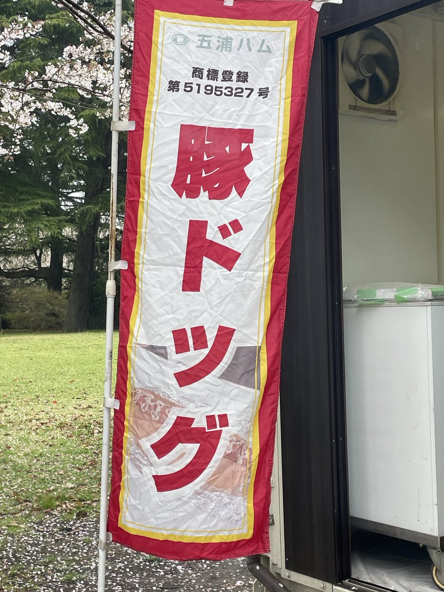 ZAKI🪶 tweet media