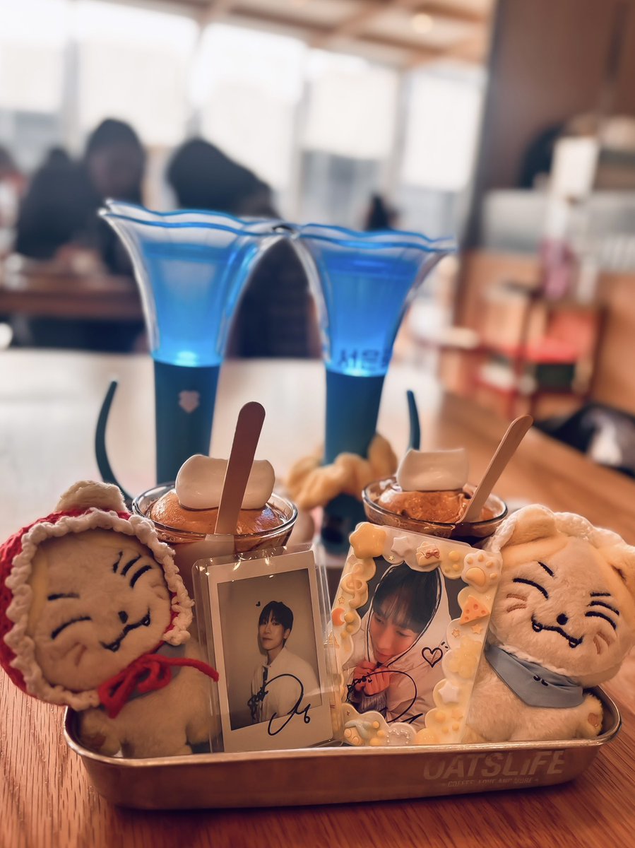 서냥이😽 tweet media