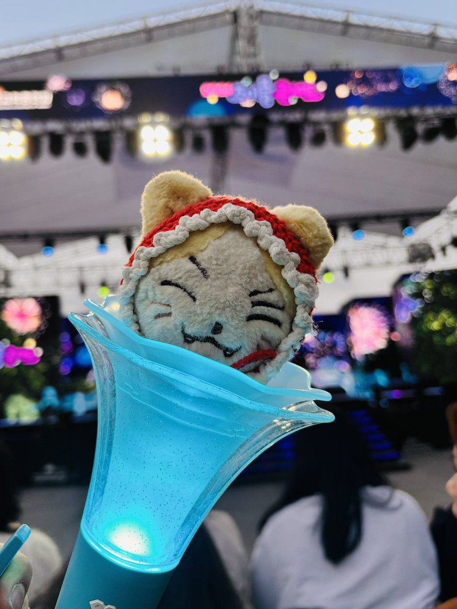 서냥이😽 tweet media
