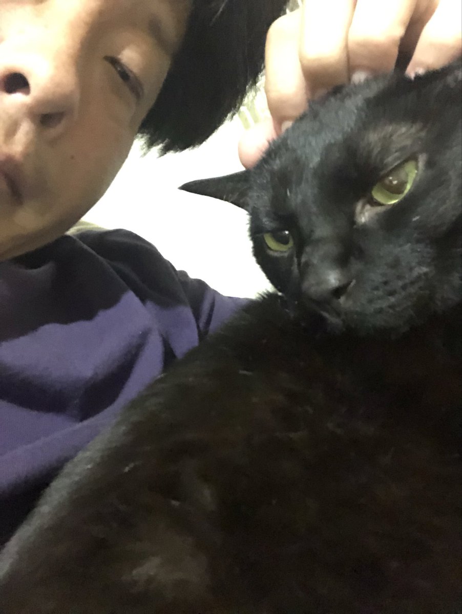 らくだのこぶ森🌰 tweet media