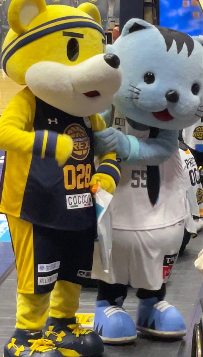 yama3_38's tweet photo. ニャリンかわいすぎた😻
#はんニャリン https://t.co/L3jGeGyVxU