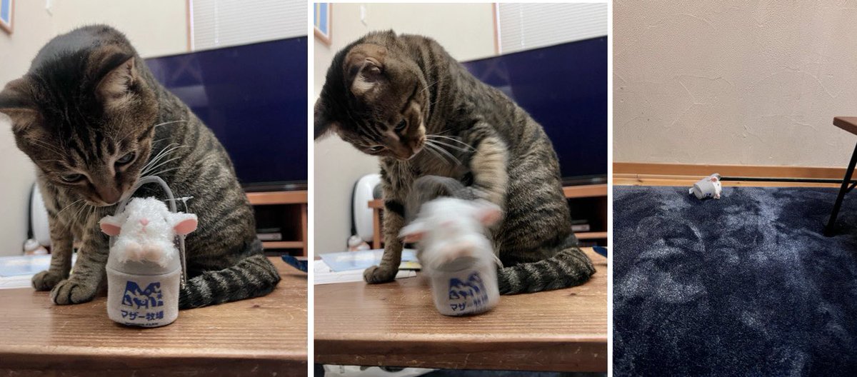 宗方脩 tweet media