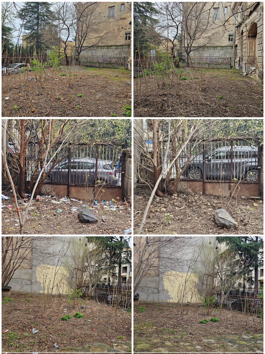 лазурнокудрявый tweet media