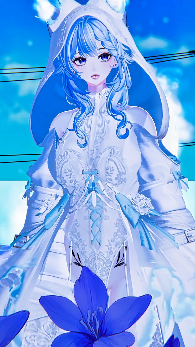 RYOMA-JP(龍馬) tweet media