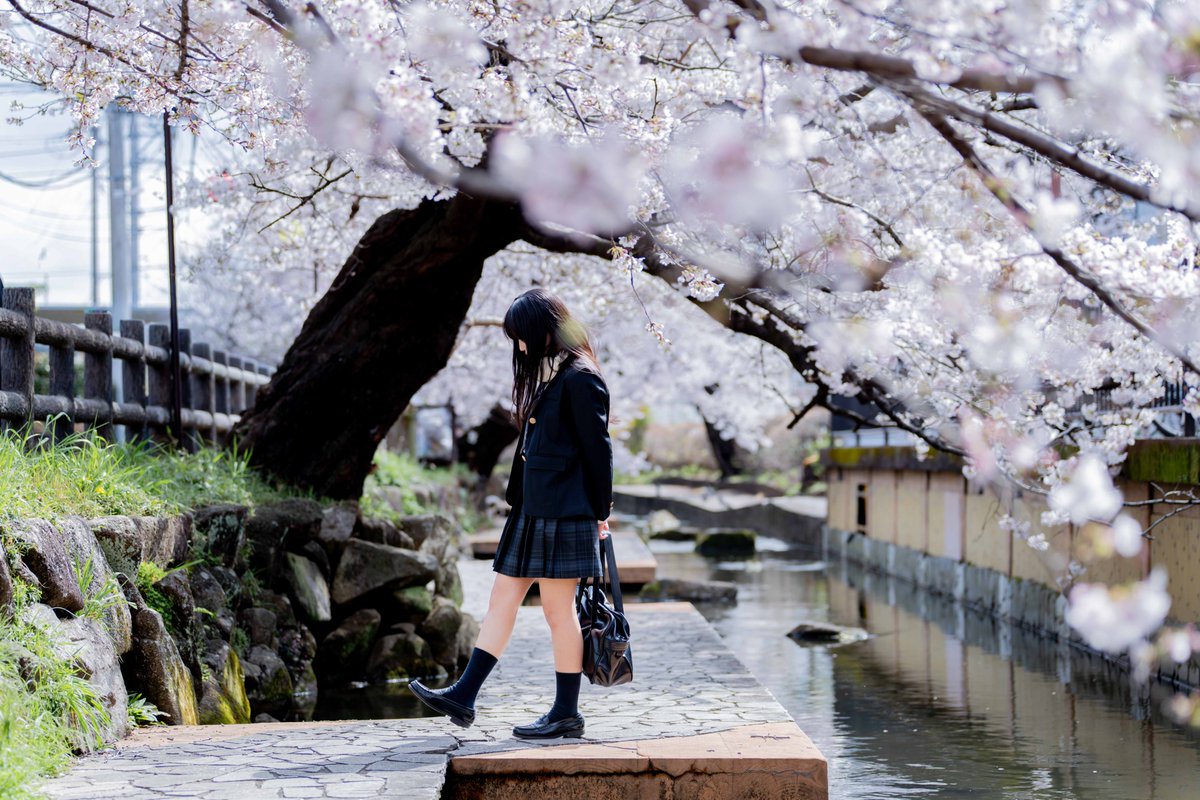 フロン tweet media