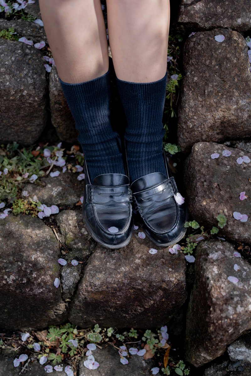 フロン tweet media