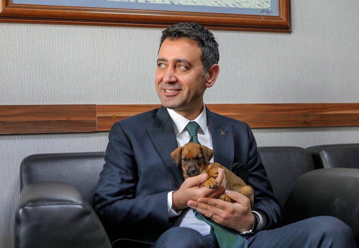 Bayraklı Belediyesi tweet media