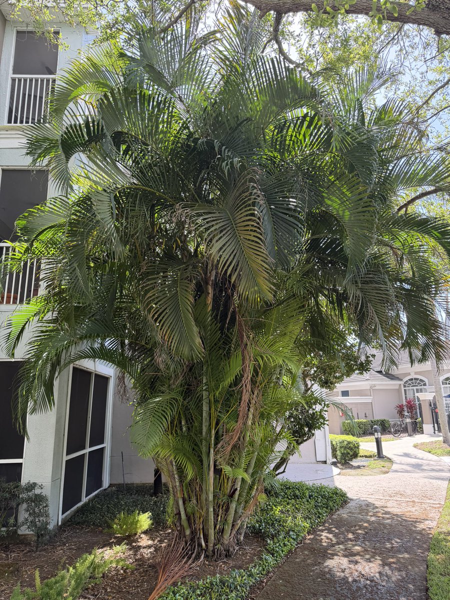 RJ-trader tweet media