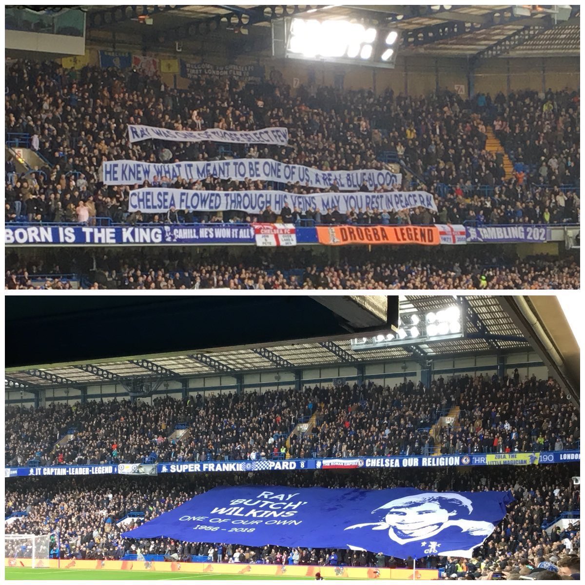 Ian Abrahams (Moose) tweet media