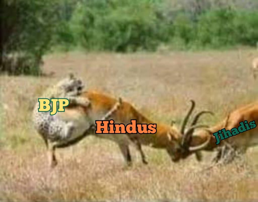 Parkash Om tweet media