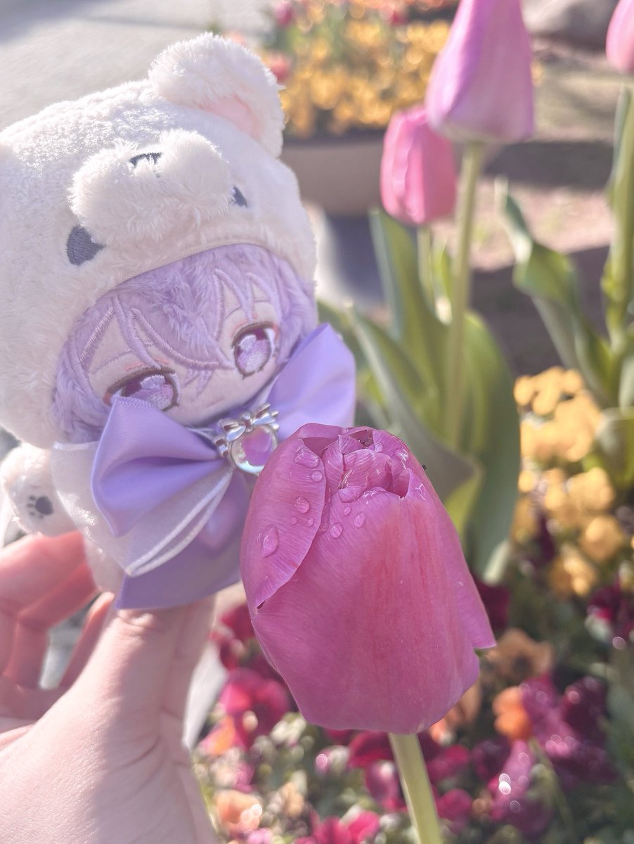 ppang_islove's tweet photo. 올해도🌸🌷💜 https://t.co/pgBli22QwR