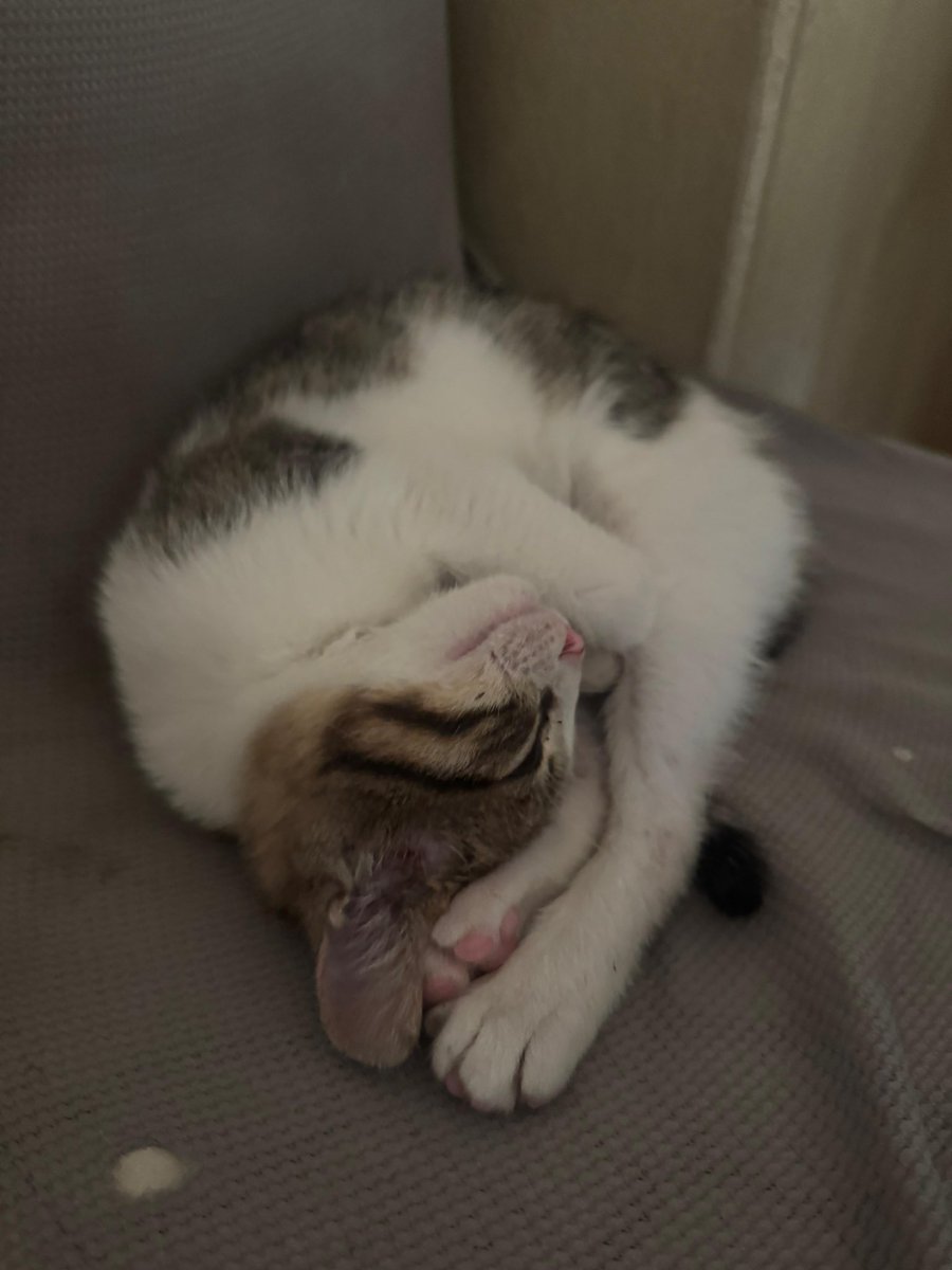 Astroloxyy tweet media