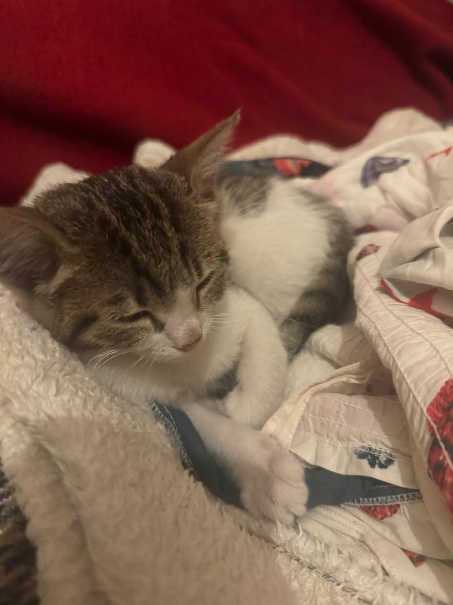 Astroloxyy tweet media