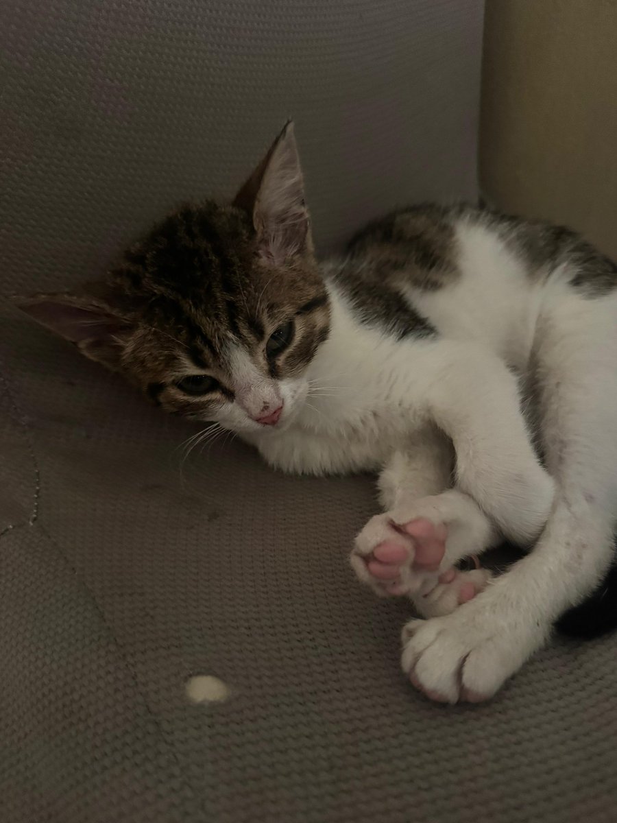 Astroloxyy tweet media