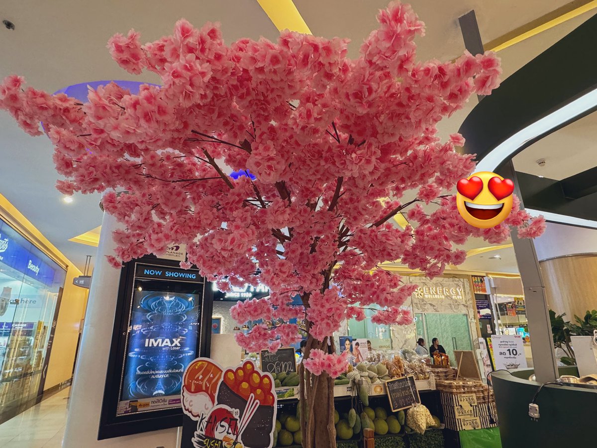 ✨ アベさん 🇹🇭 tweet media