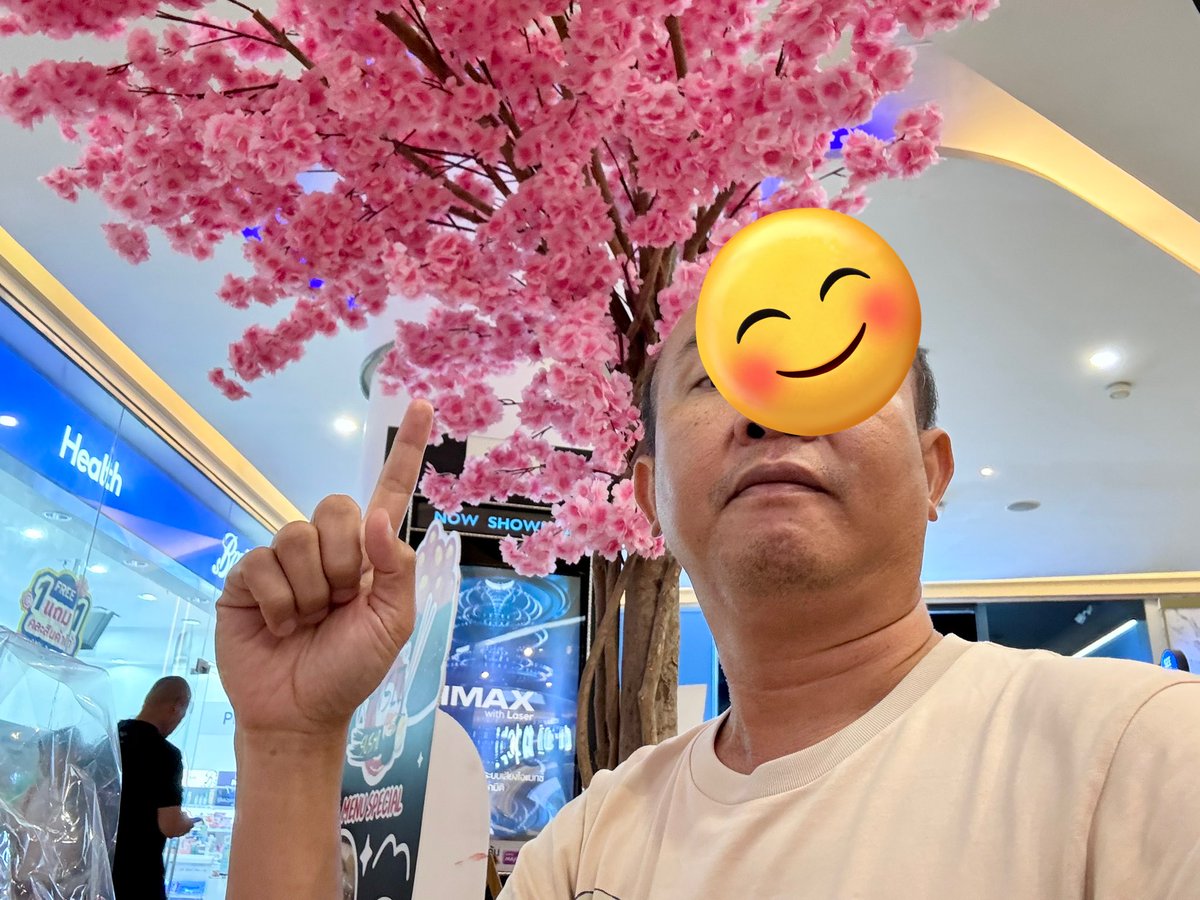 ✨ アベさん 🇹🇭 tweet media