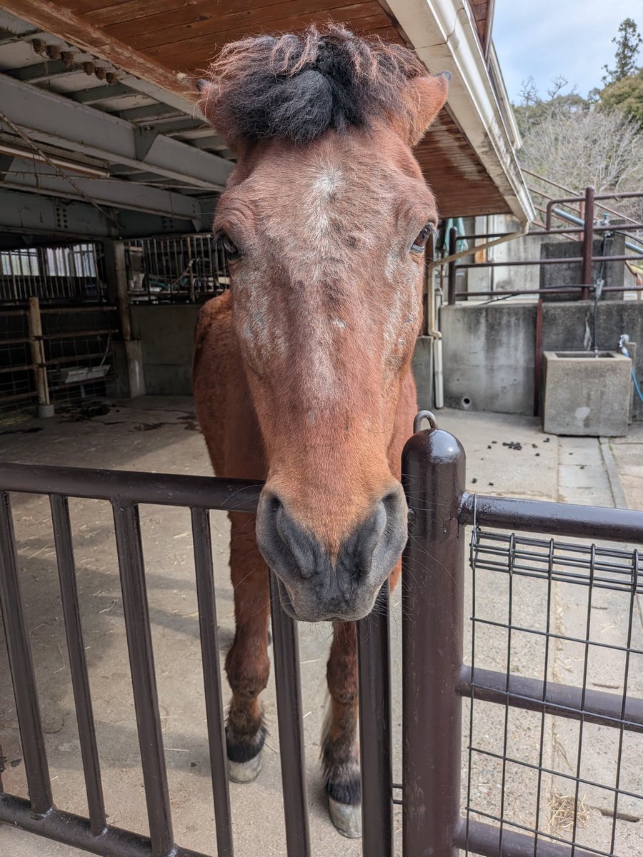 ☈_ちほ tweet media