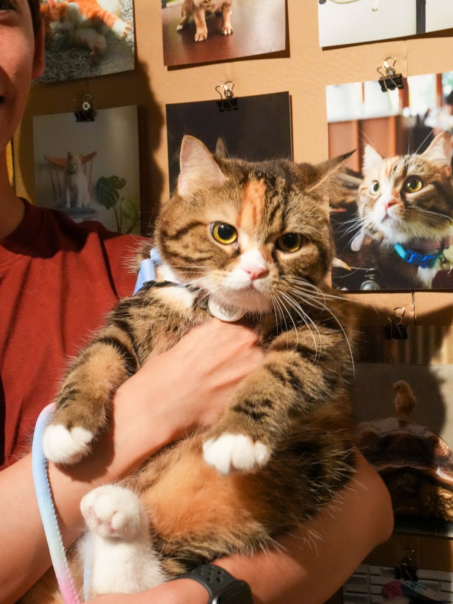 MunMun Srinakarin tweet media