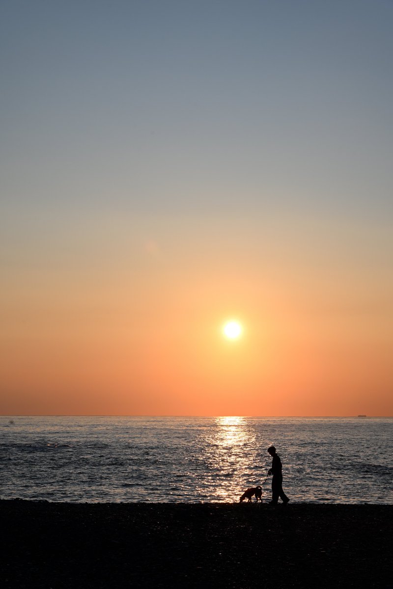 YAMA-MEGANE tweet media