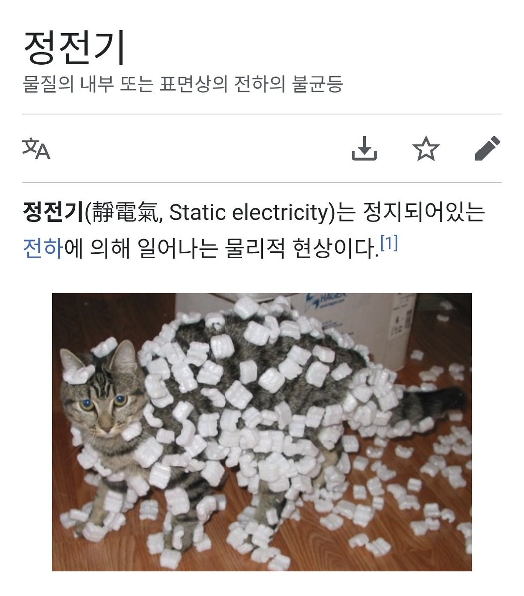 힐링짤모으는곳 tweet media