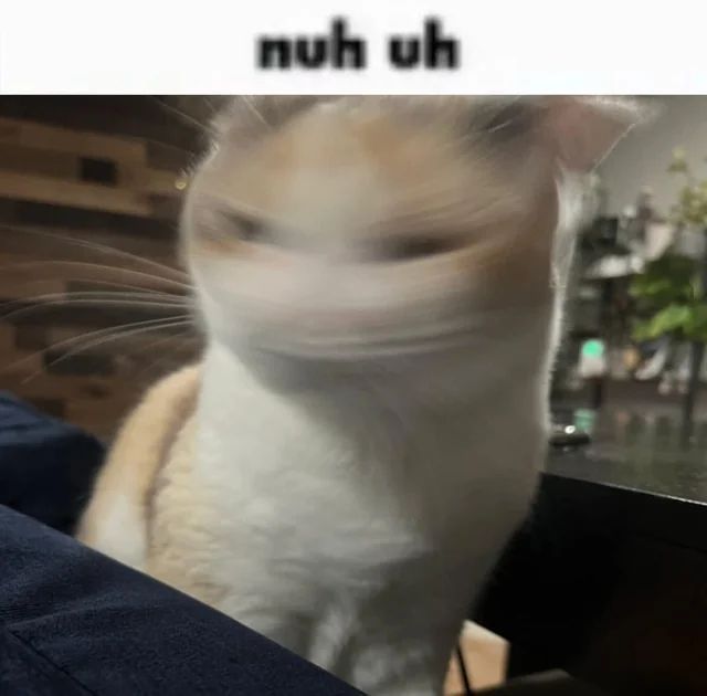 Cool Cat Society tweet media