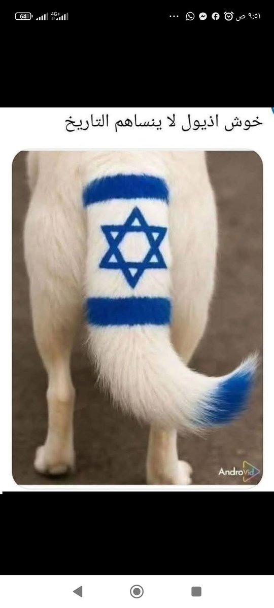 ابو حسن tweet media