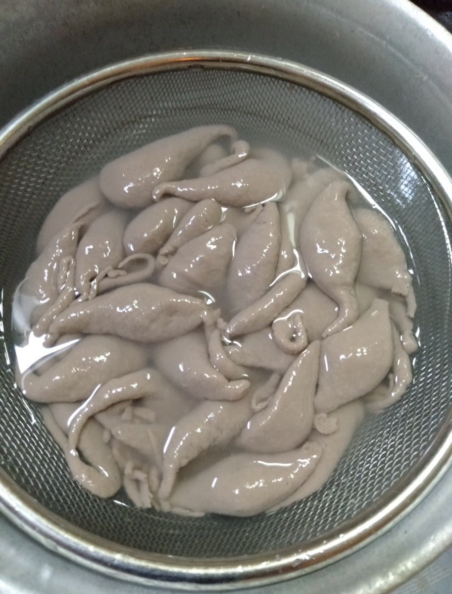 話題の面白ツイ図鑑 tweet media