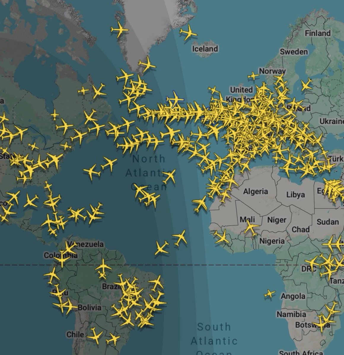 Mr. Whale tweet media