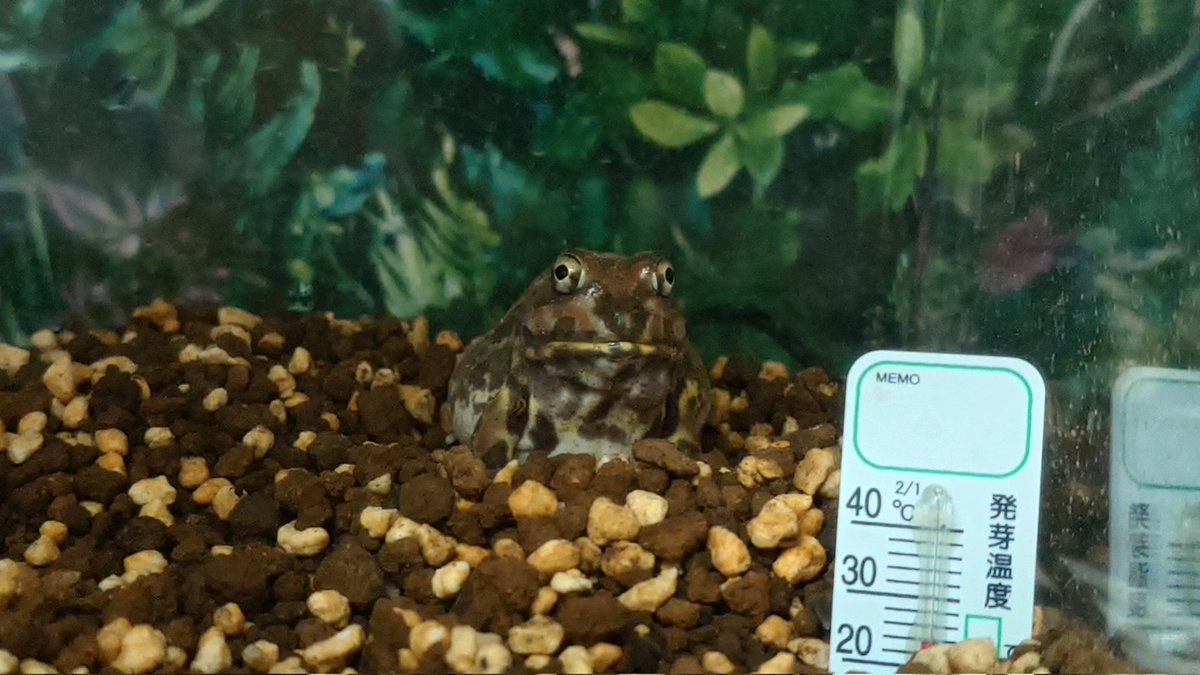 おや、ぬぎぬぎタイムかな？