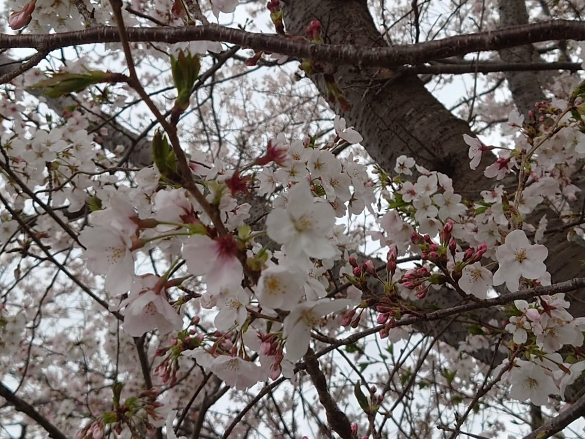 彬@ユリアド待機中❗御社に感謝✨ tweet media