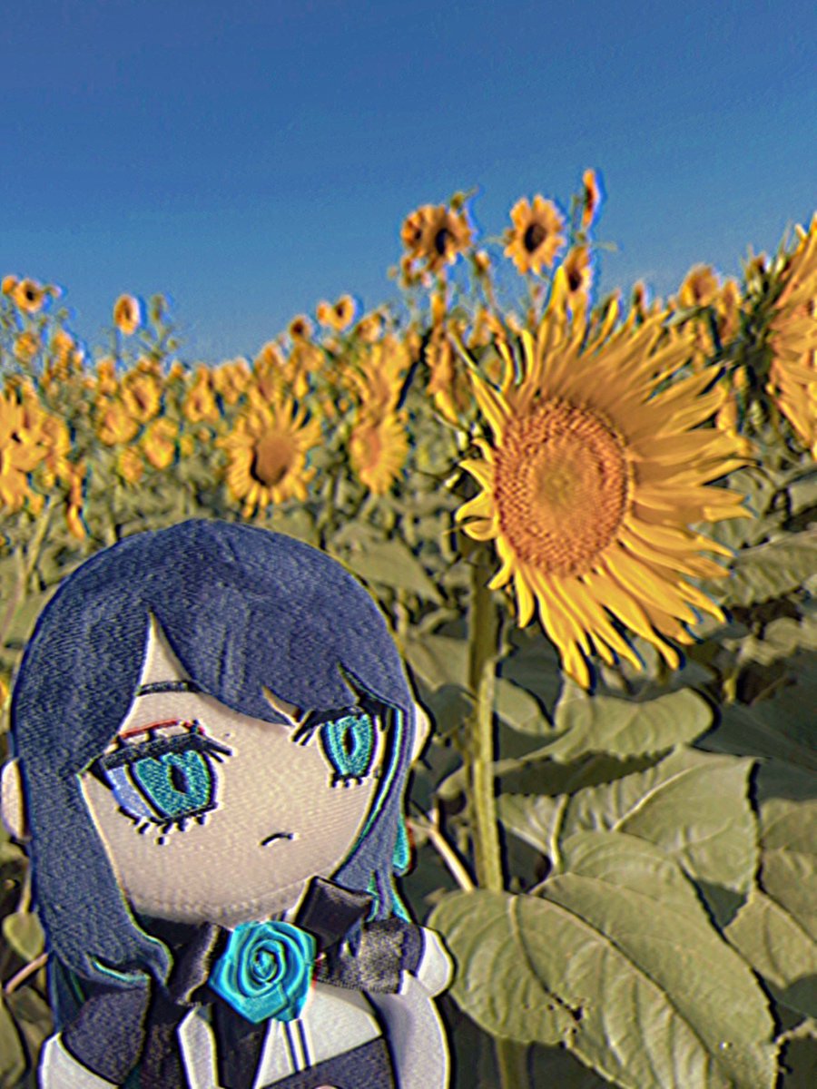 りんごん tweet media