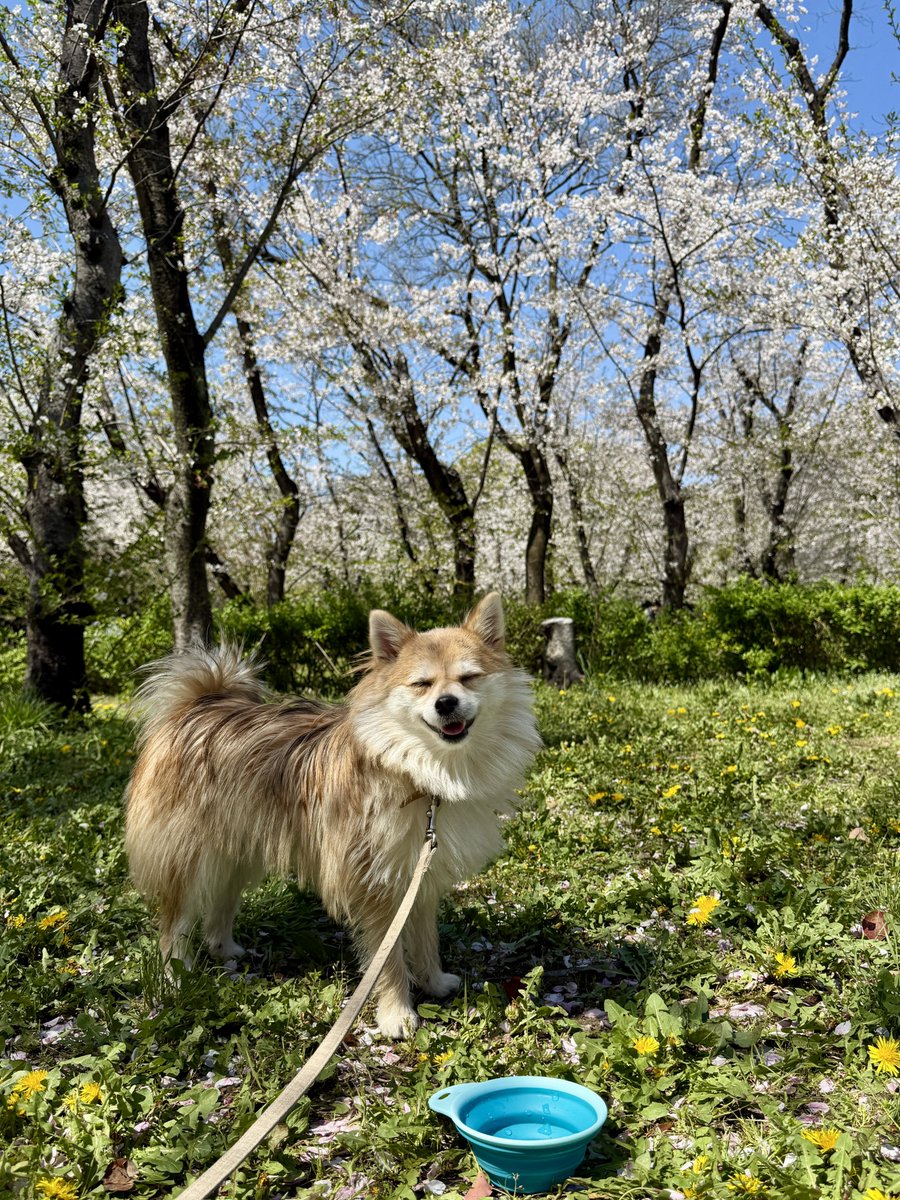 たなキャちゃんねる tweet media