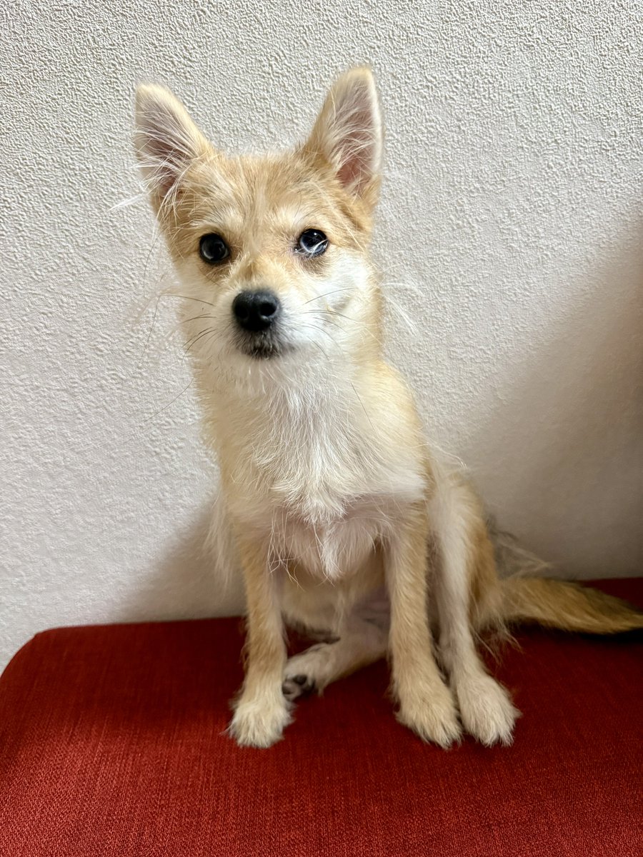 たなキャちゃんねる tweet media