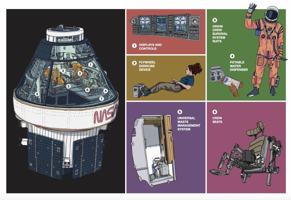 táňenka tweet media