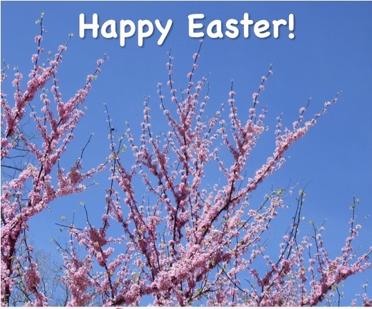 Gioskitchen_com's tweet photo. President De Furia, together with the Members of the Board of Directors, wish you and your family a joyful and peaceful Easter. https://t.co/RbSQx4swq4