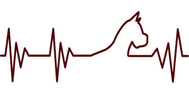 Jason Rat tweet media