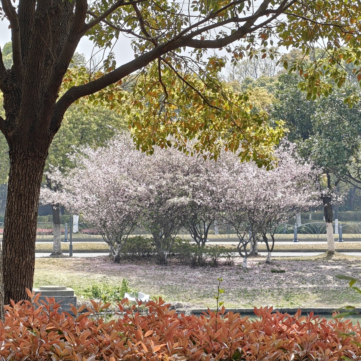 Ri_Ts_Mone's tweet image. Shanghai vs Great Bay Area
What do you say?

Tasks TMRW:
Wake up early *20
Breakfast *20
Exercise *15
Feed my cat! And appreciate it :)
#mood #lifequote