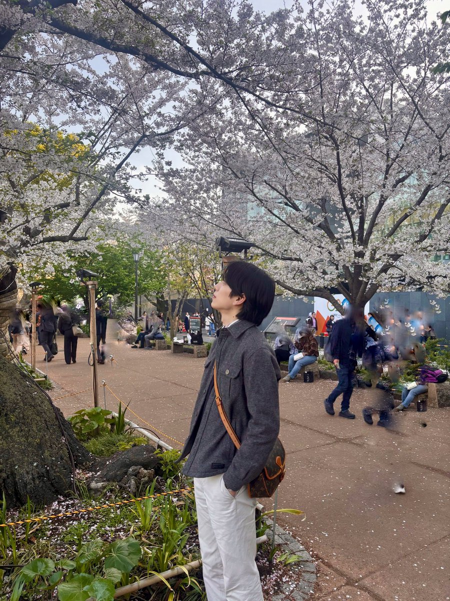 UCHIKAWAREO's tweet photo. 桜見れました🌸 https://t.co/QuYYHowaSN