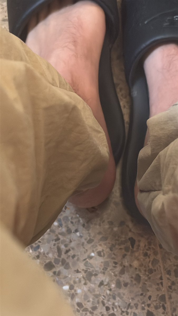 Amo Árabe 🇲🇦🇩🇿 tweet media