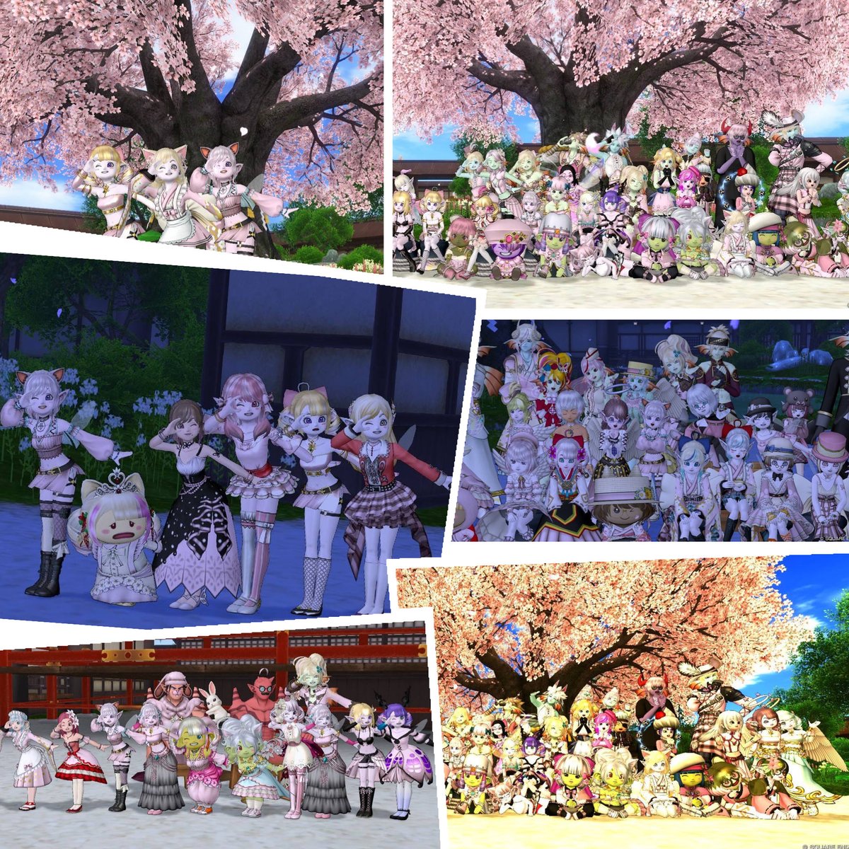 まれいdqx♪ tweet media