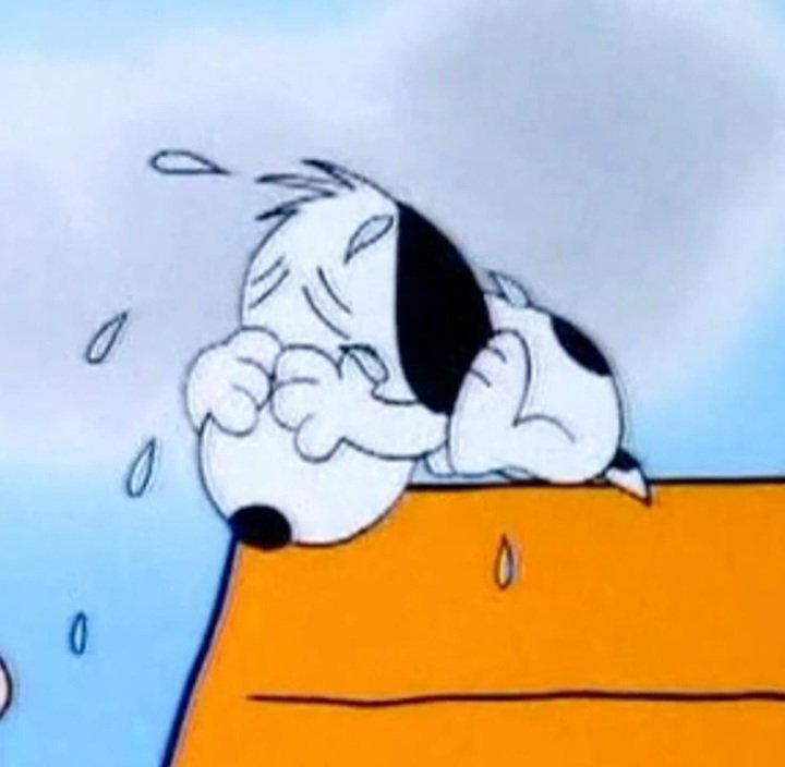 Deborah Bucher tweet media