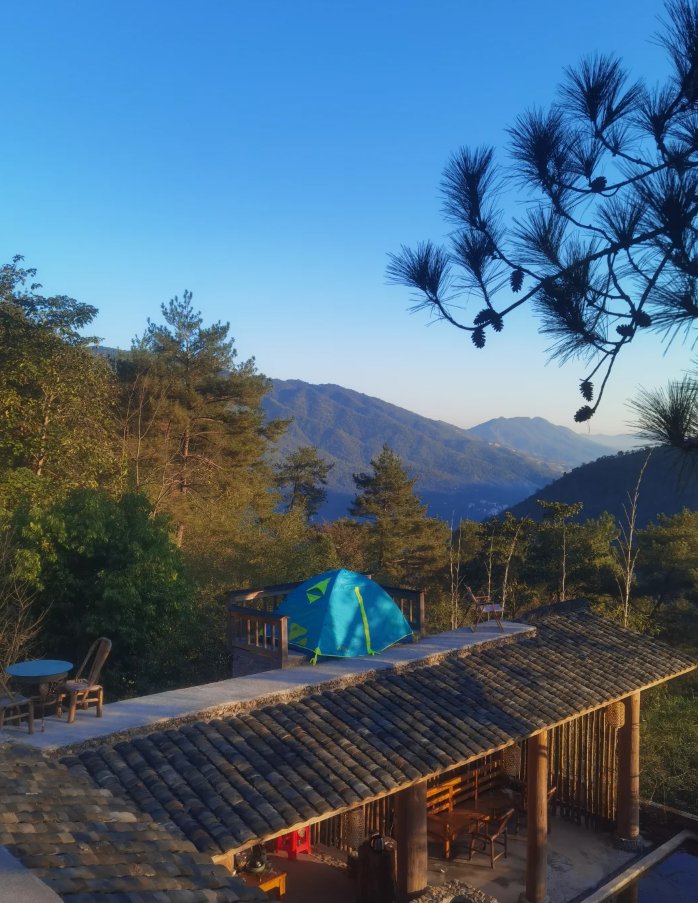 Kiaroma's tweet photo. Woke up to birds, cooked over fire, napped under stars. No Wi-Fi, no worries—just trees, tents, and pure joy.  #CampLife #NatureVibes https://t.co/DSZv8PK0ac
