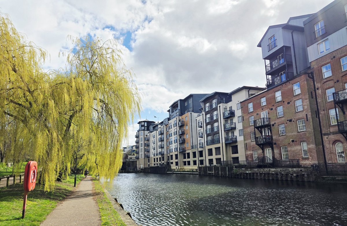 BroadsBeat tweet media