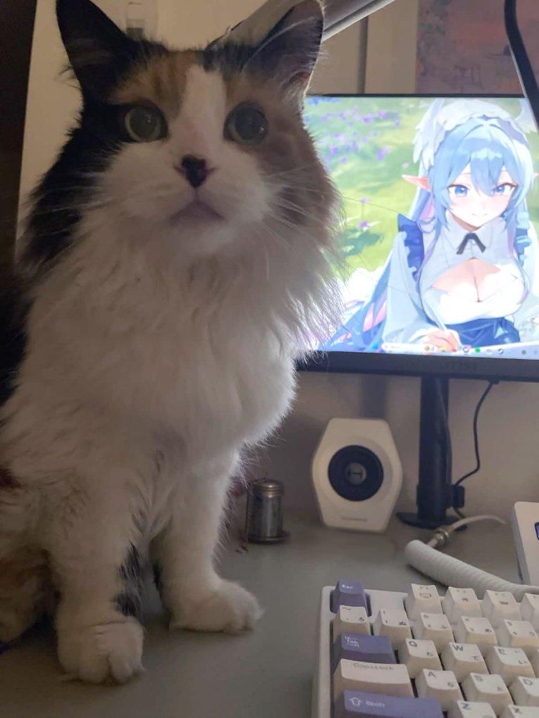 Ninette 🕊️🪻 tweet media