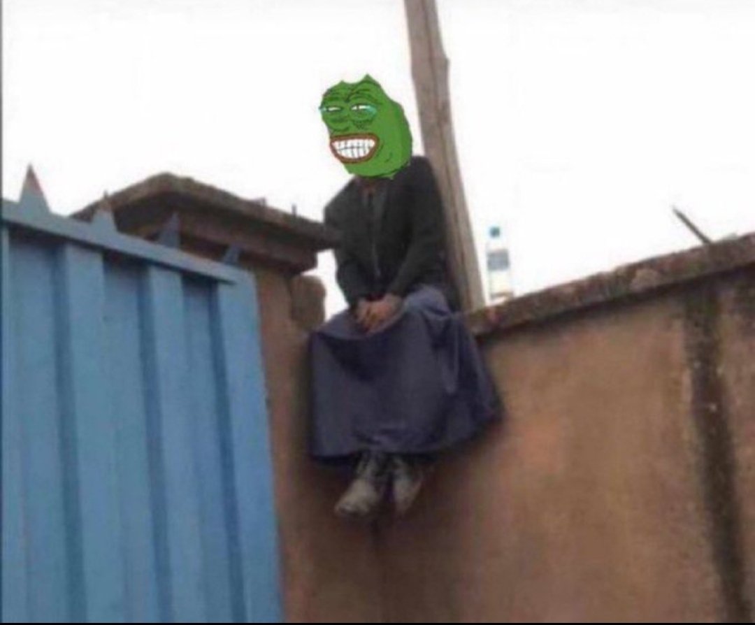 🌴FRED EX 🌴🦅 tweet media