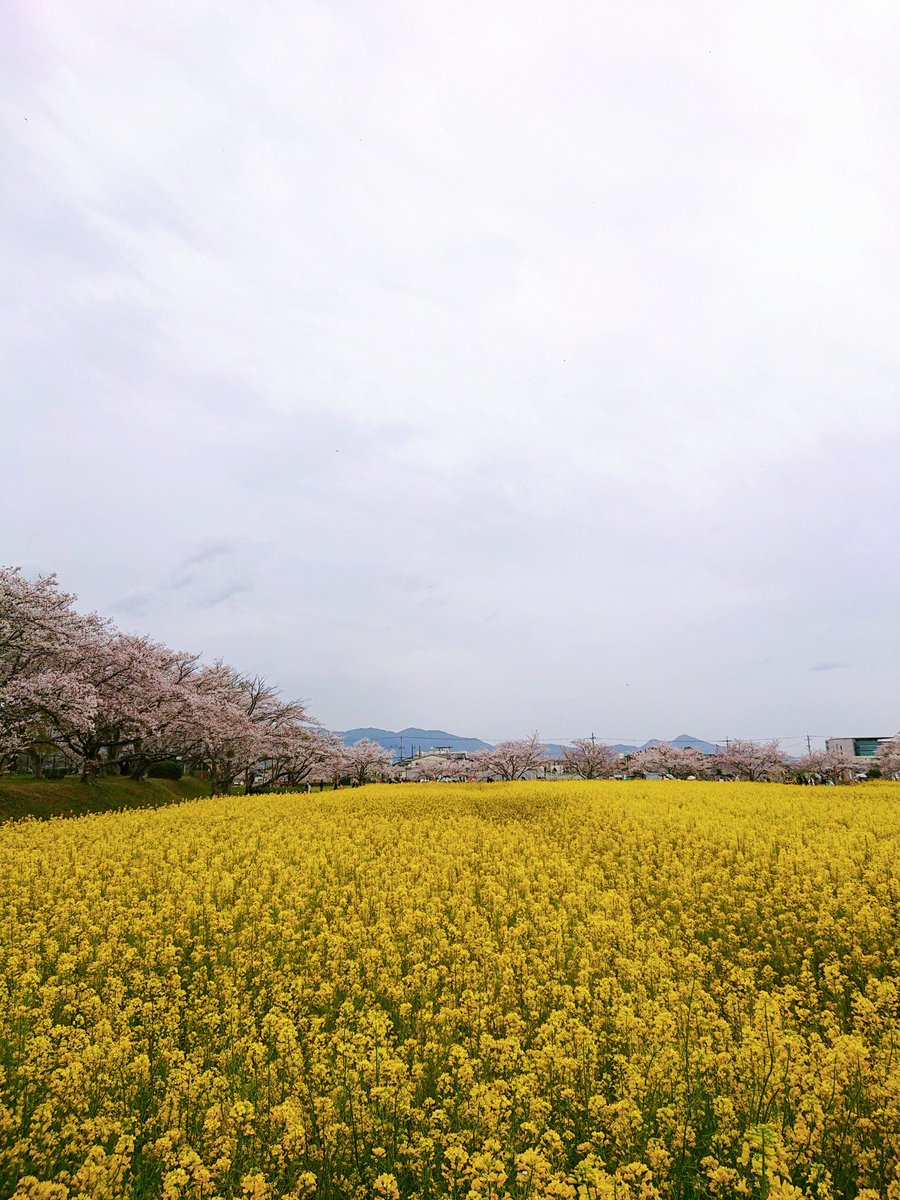 𝐲𝐮𝐦𝐢｜第31回キャリコン挑戦中✨ tweet media