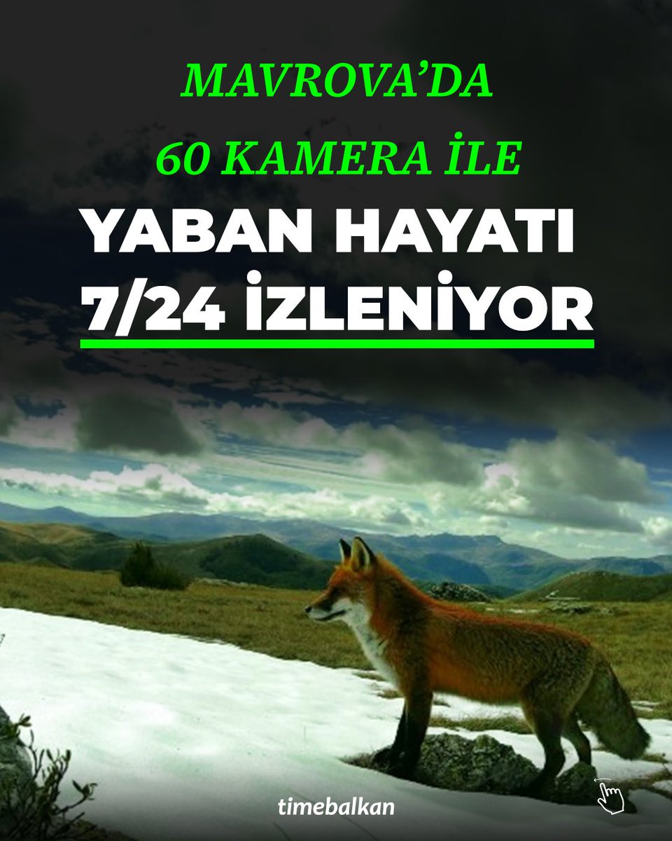 Time Balkan tweet media