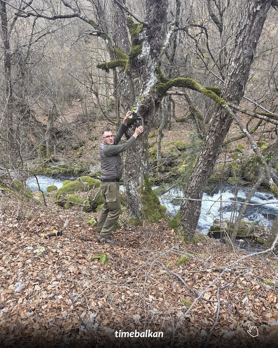 Time Balkan tweet media