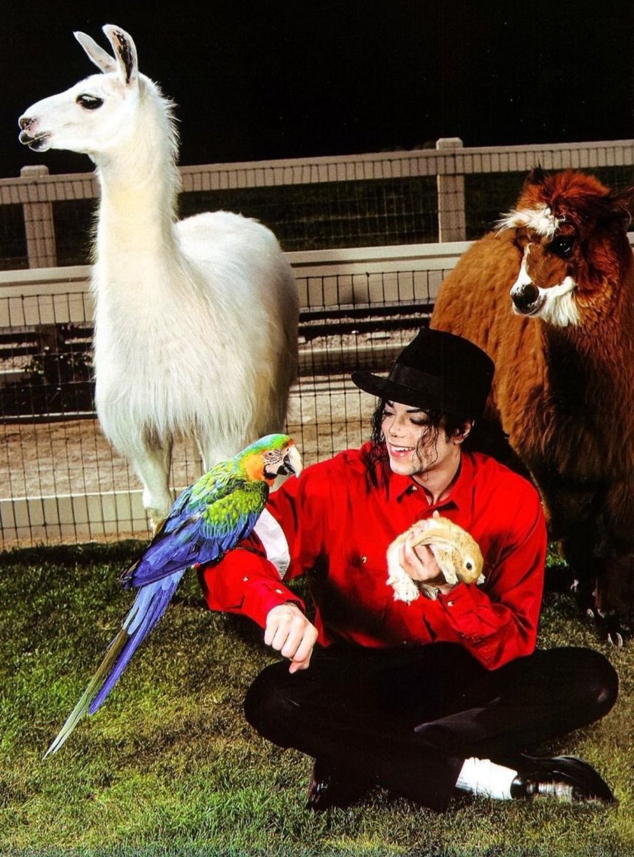 when u cool with everybody